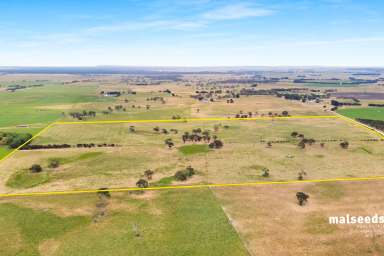 Farm For Sale - SA - Mingbool - 5291 - Approx 188 acres in Prime Location- Strong, healthy pasture  (Image 2)