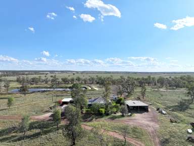 Farm For Sale - QLD - Mount Abundance - 4455 - Roma Grazing  (Image 2)