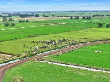 Farm For Sale - VIC - Montgomery - 3851 - Entry Level Dairy Farm  (Image 2)