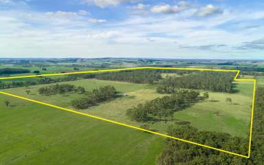 Farm Tender - VIC - Ecklin South - 3265 - "Taroon Park" - Premium Southern Victoria Grazing  (Image 2)