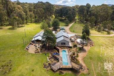 Farm For Sale - VIC - Stanley - 3747 - Discover Blissful Harmony at Bald Hills House and Sawyers Lodge  (Image 2)