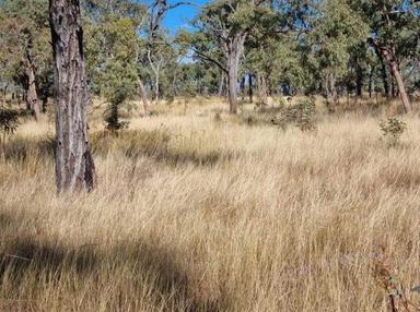 Hughenden QLD 4821