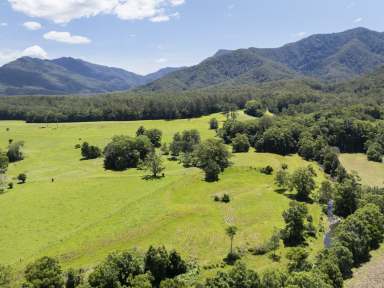 Farm For Sale - NSW - Bellingen - 2454 - Country living amongst lush landscapes with pristine water, mountain and rural views in picturesque Gleniffer  (Image 2)