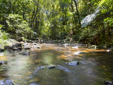 Farm For Sale - NSW - Bellingen - 2454 - Country living amongst lush landscapes with pristine water, mountain and rural views in picturesque Gleniffer  (Image 2)