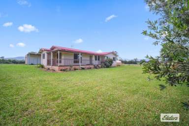 Farm For Sale - NSW - Cedar Party - 2429 - FORTY ACRES OF FREEDOM  (Image 2)