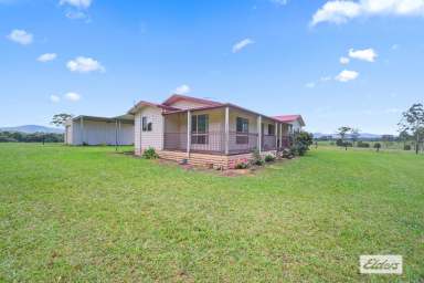 Farm For Sale - NSW - Cedar Party - 2429 - FORTY ACRES OF FREEDOM  (Image 2)