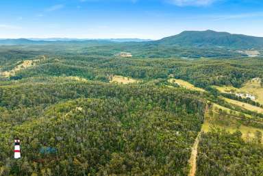 Farm For Sale - NSW - Coolagolite - 2550 - Cheap Acreage! Close to Beaches on the South Coast!  (Image 2)