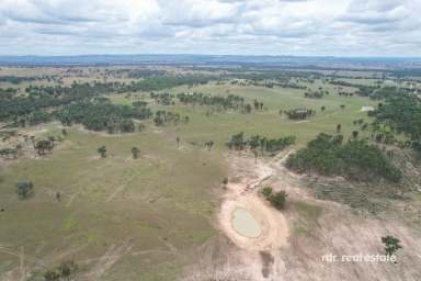 Farm For Sale - NSW - Ashford - 2361 - 2900 ACRES OF MIXED FARMING  (Image 2)