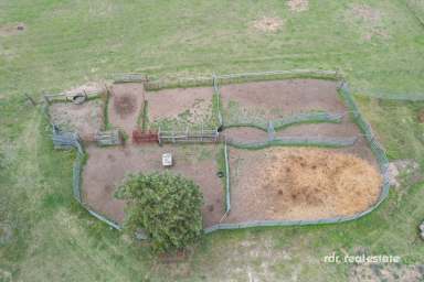 Farm For Sale - NSW - Ashford - 2361 - 2900 ACRES OF MIXED FARMING  (Image 2)