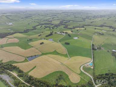 Farm Sold - VIC - Fish Creek - 3959 - Highly Productive Dairy Operation  (Image 2)