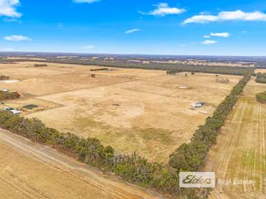 Farm For Sale - WA - Mount Barker - 6324 - Your Slice of Rural Paradise – Lot 685 Craddock Road, Mount Barker  (Image 2)