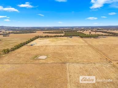 Farm For Sale - WA - Mount Barker - 6324 - Your Slice of Rural Paradise – Lot 685 Craddock Road, Mount Barker  (Image 2)