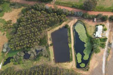 Farm For Sale - WA - Boorara Brook - 6262 - Karri Country & Water 88.15Ha* (217 Ac*)  (Image 2)