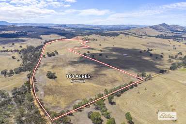 Farm For Sale - VIC - Moyston - 3377 - Stunning 160 Acre Lifestyle or Farming Property - Grampians Views  (Image 2)