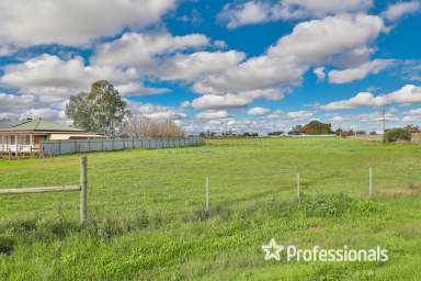 Farm For Sale - VIC - Mildura - 3500 - Prime Deakin Avenue Land on 3.8Ha  (Image 2)