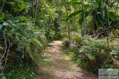 Farm For Sale - NSW - Nimbin - 2480 - Contemporary 3-Bedroom Home with Creekside Serenity.  (Image 2)