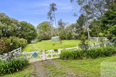 Farm For Sale - QLD - Montville - 4560 - Prime Montville Land: Your Dream Home or Accommodation Venue Awaits!  (Image 2)