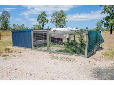 Farm For Sale - QLD - TARA - 4421 - Wanting rural living at its best - this property could be for you  (Image 2)