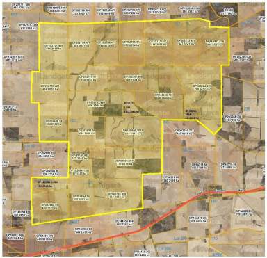 Farm For Sale - WA - Bodallin - 6424 - Unique opportunity to purchase all or part of a large, co-joined selection with genuine quality soils  (Image 2)