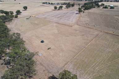 Farm For Sale - VIC - Wilsons Hill - 3515 - Wilsons Hill Farmlet  (Image 2)