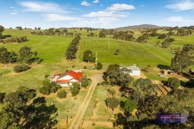 Farm For Sale - VIC - Baringhup - 3463 - Idyllic Lifestyle Offering in Baringhup  (Image 2)