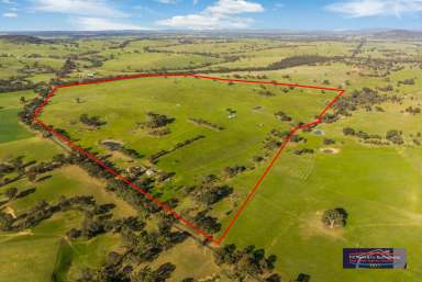 Farm For Sale - VIC - Baringhup - 3463 - Idyllic Lifestyle Offering in Baringhup  (Image 2)