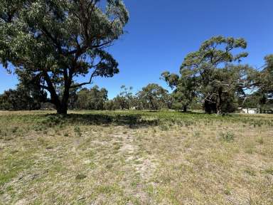 Farm For Sale - SA - Naracoorte - 5271 - 2.42 Acres, Rural Living Allotment  (Image 2)