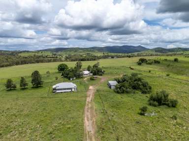 Farm For Sale - QLD - Dallarnil - 4621 - "ELSECAR" EX DAIRY  (Image 2)