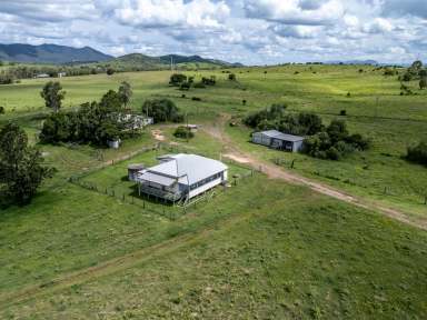 Farm For Sale - QLD - Dallarnil - 4621 - "ELSECAR" EX DAIRY  (Image 2)