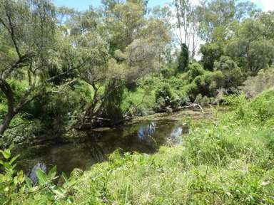 Farm For Sale - QLD - Dallarnil - 4621 - "COBBII CREEK"  (Image 2)