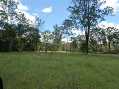 Farm For Sale - QLD - Dallarnil - 4621 - "COBBII CREEK"  (Image 2)