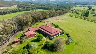 Farm For Sale - NSW - Little Billabong - 2644 - "Paraken" - Rural Lifestyle, Privacy, Conservation & Income  (Image 2)