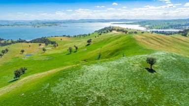 Farm For Sale - NSW - Bowna - 2644 - 267 Acres - Lake Hume Frontage  (Image 2)