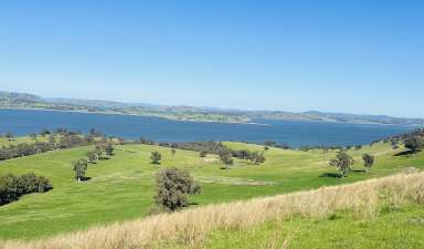 Farm For Sale - NSW - Bowna - 2644 - 267 Acres - Lake Hume Frontage  (Image 2)