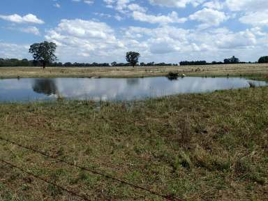 Farm For Sale - VIC - Wahgunyah - 3687 - BEAUTIFICALLY LOCATED ON THE OUTSKIRTS OF WAHGUNYAH, A MURRAY RIVER PARADISE.  (Image 2)