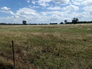 Farm For Sale - VIC - Wahgunyah - 3687 - BEAUTIFICALLY LOCATED ON THE OUTSKIRTS OF WAHGUNYAH, A MURRAY RIVER PARADISE.  (Image 2)