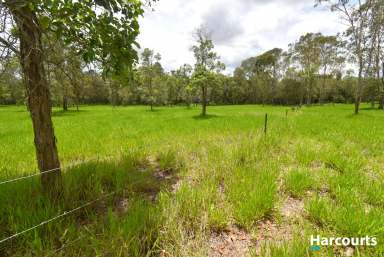 Farm For Sale - QLD - Dalysford - 4671 - 35 Acres of Rural Living!!  (Image 2)