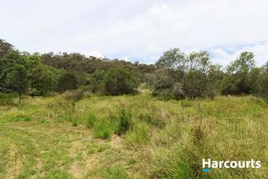 Farm For Sale - QLD - Childers - 4660 - EXCEPTIONAL HILLTOP VIEWS OF CHILDERS  (Image 2)