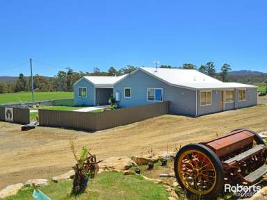 Farm For Sale - TAS - Bothwell - 7030 - Spacious 500-Acre Property with Renovated Home, Wildlife, and Farming Potential  (Image 2)