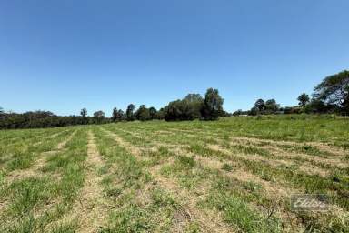 Farm For Sale - QLD - Glenwood - 4570 - BANG FOR YOUR BUCK IN GLENWOOD!  (Image 2)