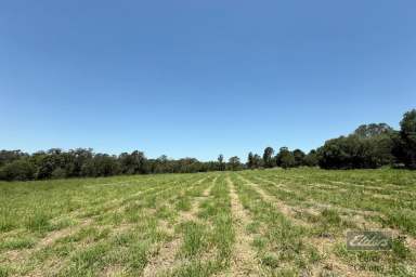 Farm For Sale - QLD - Glenwood - 4570 - BANG FOR YOUR BUCK IN GLENWOOD!  (Image 2)