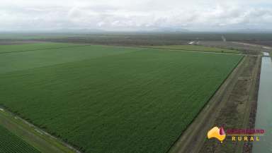 Farm For Sale - QLD - Upper Haughton - 4809 - Highly Sought After Sugar Cane Farm  (Image 2)