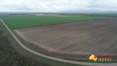 Farm For Sale - QLD - Upper Haughton - 4809 - Highly Sought After Sugar Cane Farm  (Image 2)