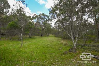 Farm For Sale - NSW - Torrington - 2371 - Gateway to Nature and Endless Possibilities  (Image 2)