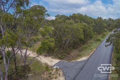 Farm For Sale - NSW - Torrington - 2371 - Gateway to Nature and Endless Possibilities  (Image 2)