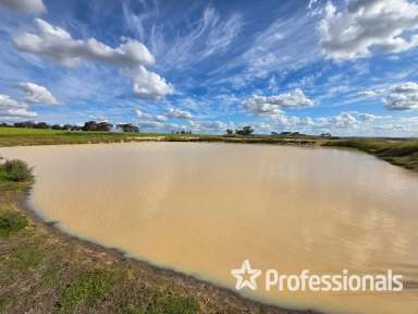 Farm For Sale - WA - Wagin - 6315 - "Kershaw's Block Wagin" 680 Acres Approximately  (Image 2)