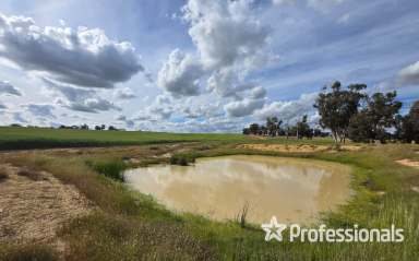 Farm For Sale - WA - Wagin - 6315 - "Kershaw's Block Wagin" 680 Acres Approximately  (Image 2)