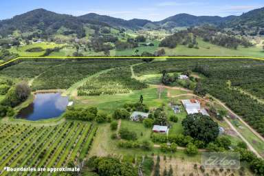 Farm For Sale - QLD - Goomboorian - 4570 - THRIVING AGRI-TOURSIM BUSINESS FEATURING 12,000 TREE MACADAMIA ORCHARD.  (Image 2)