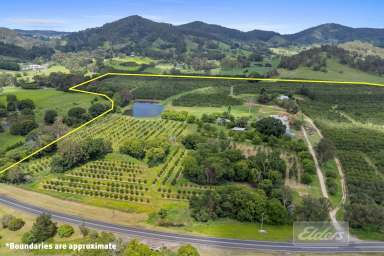 Farm For Sale - QLD - Goomboorian - 4570 - THRIVING AGRI-TOURSIM BUSINESS FEATURING 12,000 TREE MACADAMIA ORCHARD.  (Image 2)