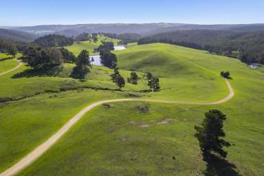 Farm For Sale - WA - Burekup - 6227 - One of Australia's Finest Rural Properties - Tynedale Farm  (Image 2)